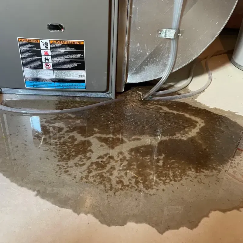 Appliance Leak Cleanup in Westville, IL